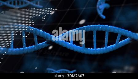 Displaying prominent blue DNA helix rotating in lab UI, showing gridlines, dotted map, particles Stock Photo