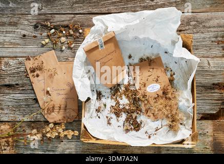 Wildflower seeds collected from a meadow around a orchard, packed in sachets. Germany Stock Photo