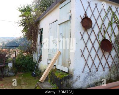 Wooden structure painted white in backyard garden. Barn and Mediterranean nature, Italy. Traditional old building.  Stock Photo