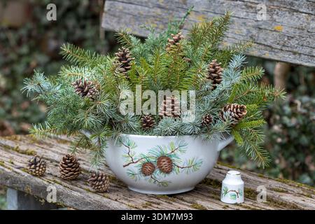 coniferous branches and pine cones in a soup tureen in the winter garden Stock Photo