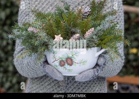 coniferous branches and pine cones in a soup tureen in the woman hands Stock Photo