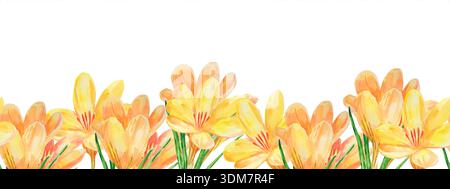 Seamless horizontal watercolor pattern features golden hues of spring crocus flowers, perfect for creating a fresh and elegant look. Ideal for textile Stock Photo