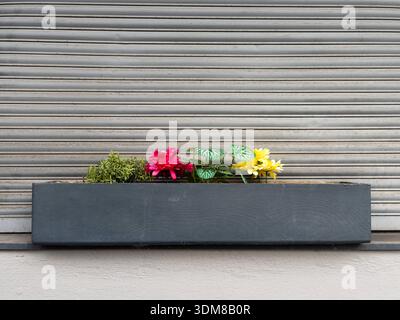Blumenkasten mit knstlichen bunten Blumen vor geschlossenem Rollladen,  Wuppertal, Deutschland *** Flower box with artificial colorful flowers in  fron Stock Photo - Alamy