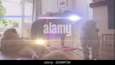 Bending woman doing forward fold on pink yoga mat in home wearing workout clothes, three dogs Stock Photo