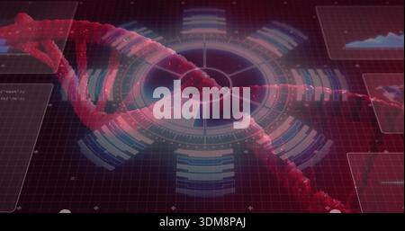 Twisting red-pink DNA double helix moving across virtual lab HUD, showing data panels Stock Photo