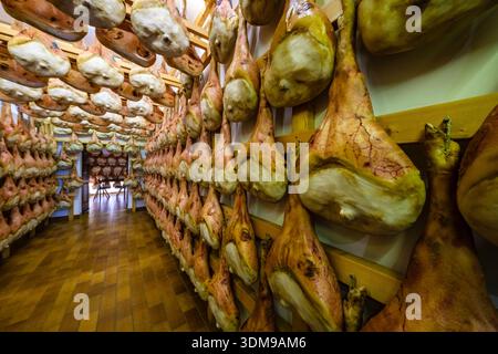 Hanging cured hams in the interior of the restaurant La casa del prosciutto in San Daniele del Friuli. Stock Photo