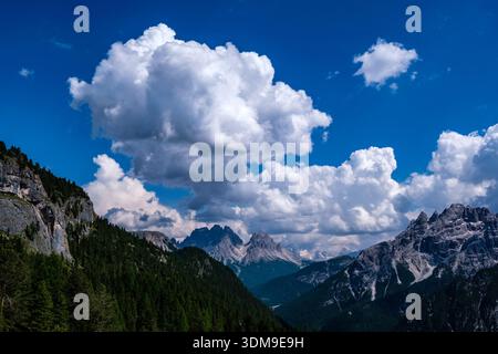 Dense green pine forest on a steep slope. Jagged rock formations of Cima Cadin di San Lucano in the distance under a large white cloud. Stock Photo