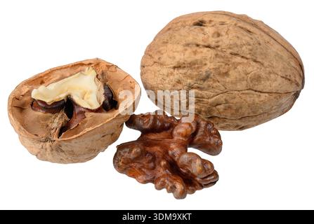 A set of walnuts, including a whole walnut in its shell, a split half, and a peeled kernel on an isolated background. Stock Photo