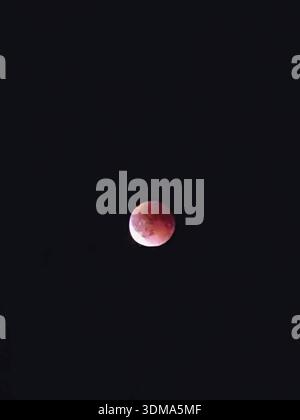 Bright red moon, blood moon, against a dark, almost black night sky, Upper Franconia Stock Photo