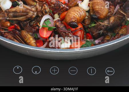 Fried insects with ingredients in a pan on a modern electric stove Stock Photo