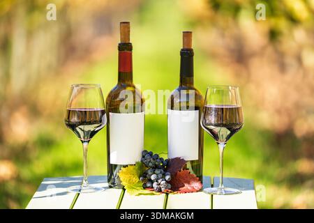 Wine Tasting Outdoors, Wine bottles without Label and glasses staged on a table in a vineyard in Napa Valley AVA, Napa County, California, USA, during Stock Photo