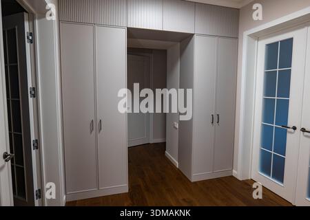 Modern hallway interior shows matte gray built in wardrobes framing a recessed doorway. Ribbed paneling above, dark wood flooring, and frosted glass d Stock Photo