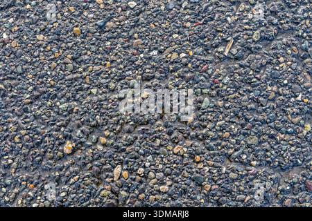 Detail of wet asphalt on a road after the rainstorm Stock Photo