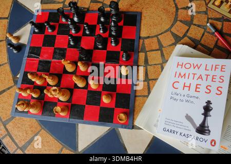 Chess study and life lessons, How Life Imitates Chess Stock Photo