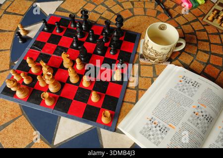 Chess study and life lessons, How Life Imitates Chess Stock Photo