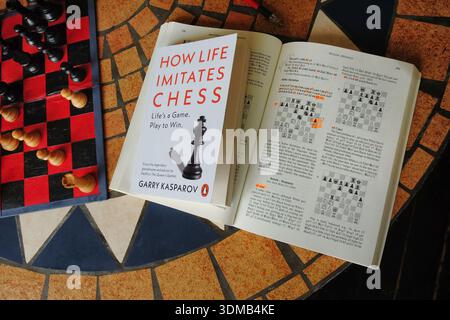 Chess study and life lessons, How Life Imitates Chess Stock Photo