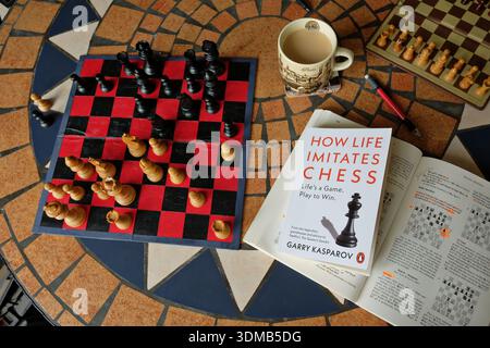 Chess set, chess books, study and life lessons, How Life Imitates Chess Stock Photo