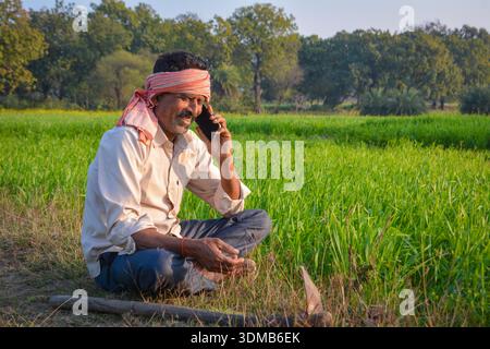 Indian farmer talking on mobile phone in green field. Digital connectivity in rural farming life Stock Photo