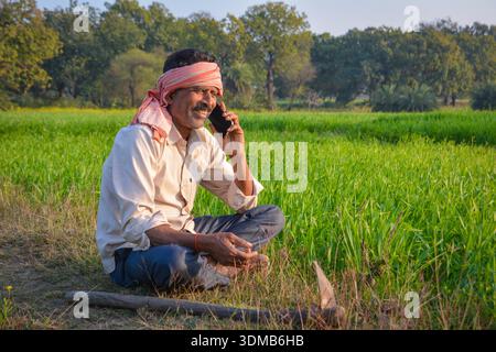 Indian farmer talking on mobile phone in green field. Digital connectivity in rural farming life Stock Photo