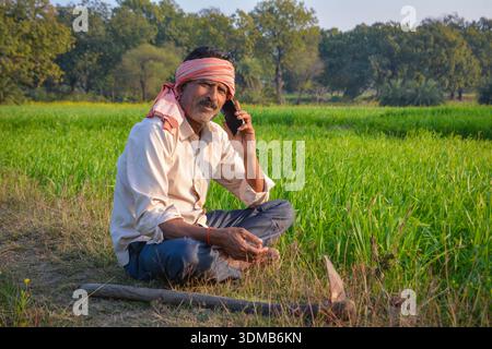 Indian farmer talking on mobile phone in green field. Digital connectivity in rural farming life Stock Photo