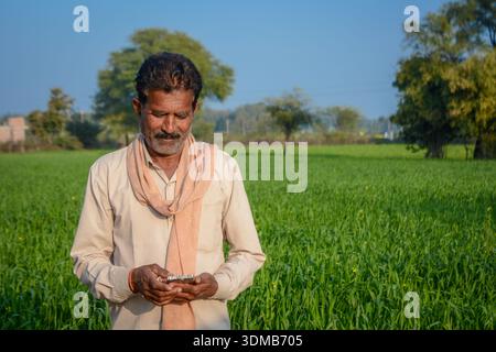 Indian farmer using mobile phone while standing in green crop field Stock Photo