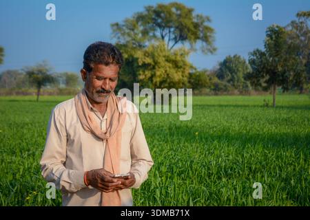 Indian farmer using mobile phone while standing in green crop field Stock Photo