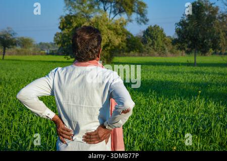 Indian farmer standing in green wheat field looking at his crop under blue sky. Agriculture and farming concept Stock Photo