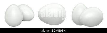 White eggs placed side by side isolated on white transparent background. Concept of egg variety and nutrition Stock Photo