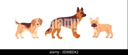 Flat-style vector set of a beagle, shepherd dog, and French bulldog with simple shapes and bold colors, ideal for icons, stickers, pet branding, and Stock Vector