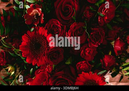 Dense cluster of deep red carnations creates dramatic texture. Moody floral design, gothic romance, dramatic floral arrangement. Stock Photo