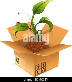 Open Cardboard Box with the Sprout and Ladybug, vector illustration Stock Vector