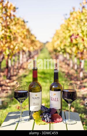 Wine Tasting Outdoors, Wine bottles and glasses staged on a table in a vineyard in Napa Valley AVA, Napa County, California, USA, during autumn. Stock Photo