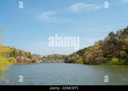 Calm Spring Lake Surrounded by Tree-Covered Hills at Seonam Lake Park, Ulsan, Korea Stock Photo