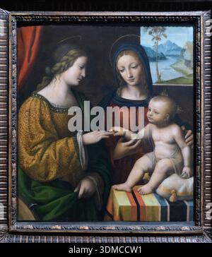 Bernardino Luini - The Mystical Marriage of Saint Catherine Stock Photo ...