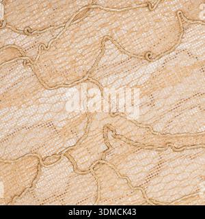 Elegant Beige Embroidered Mesh Fabric Texture Stock Photo