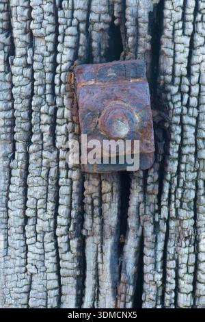 attractive picture of exposed and deep grain on worn old wooden post with a single rusty nut and bolt, detail on old sea defences, Stock Photo