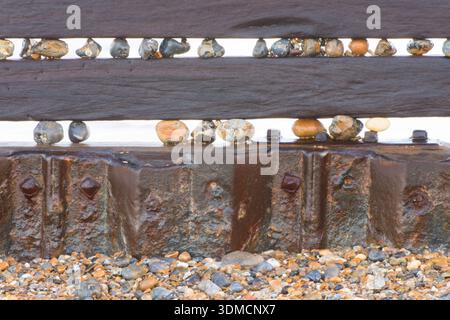 many colourful stones trapped in the gaps between wooden bars of a breakwater making an interesting pattern, happens naturally, Happisburgh, Norfolk Stock Photo