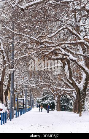 Pedestrians on a snow-covered sidewalk with overhanging snowy tree branches in Budapest, Hungary in winter Stock Photo