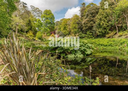 Mallard Pool at the center of Trebah Garden, Cornwall, England, UK Stock Photo