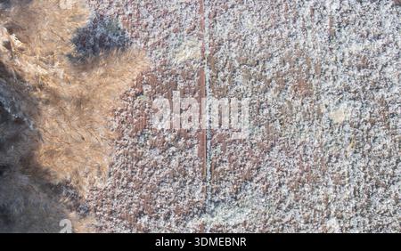 Frost covered concrete pavement texture with visible joints and rough surface Stock Photo