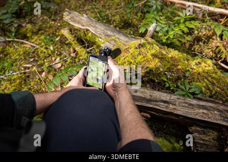 A first-person perspective (POV) over the shoulder of a man holding a smartphone with a macro lens attachment, displaying a sharp, magnified image of Stock Photo