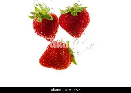 Studio shot of three falling strawberries with air bubbles against a white background. Stock Photo