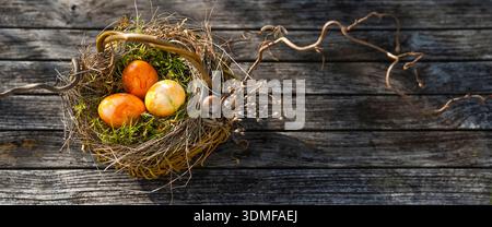 Colorful easter eggs in a natural nest . Stock Photo