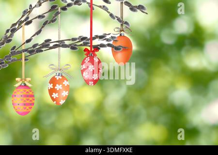Easter eggs hanging from willow branches outdoors Stock Photo
