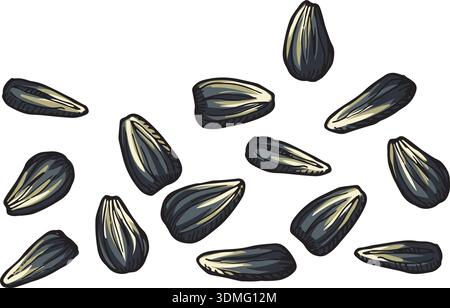 Sunflower seeds. Natural dry raw kernel icon Stock Vector