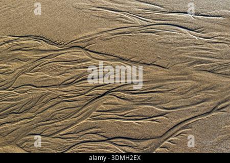 Natural patterns and textures created by water and wind on a sandy beach Stock Photo