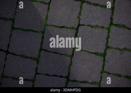 Dark Stone Pavement Texture with Green Moss Between Tiles. Natural urban ground texture background, perfect for architecture, outdoor walkway, design Stock Photo