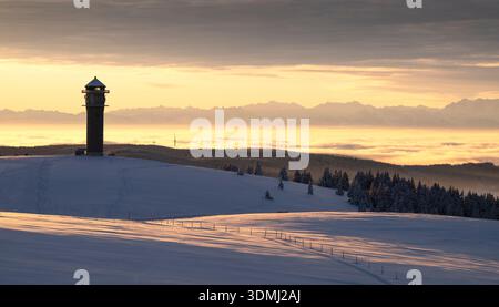 Shortly after sunrise, the sky filled with yellow colours and dark clouds gains its dramatic strength. The swiss alps are located in the background. Stock Photo