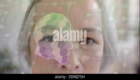 Facing mature Asian woman looking through glass panel at office, with hexagonal head overlay Stock Photo