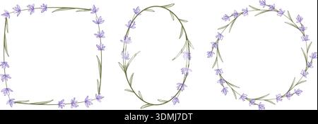 Botanical frames of blooming lavender set. Square, oval, and round floral shapes. Blank frame templates for cards, invitations and design. Vector grap Stock Vector
